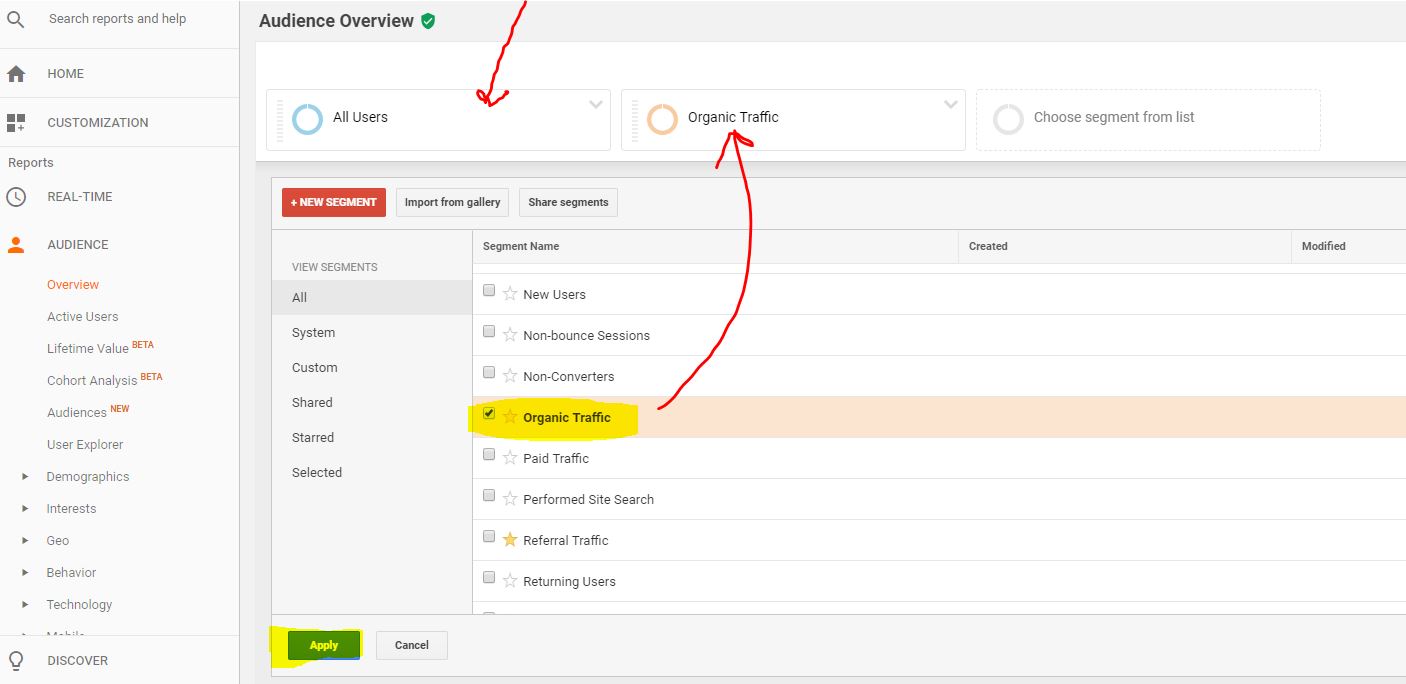 organic-traffic-google-analytics